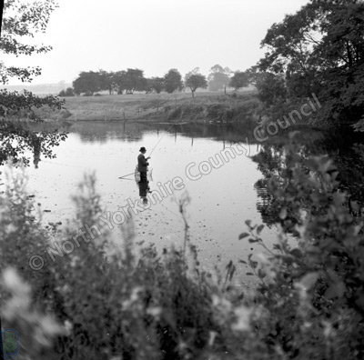 Fishing, River Ure, Ripon